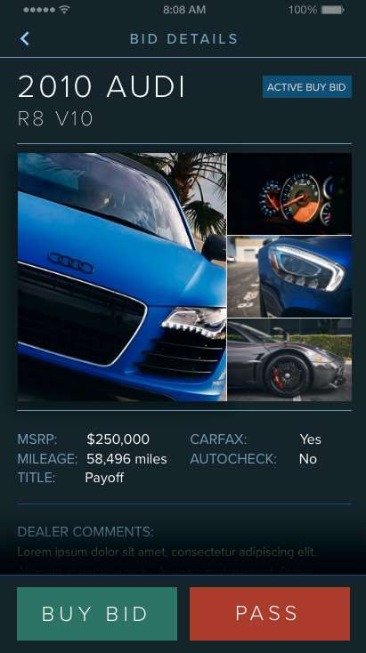 Screen capture of VinBid User Interface Design